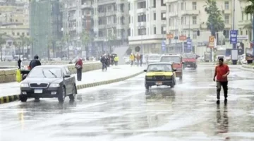 مواعيد 2026.. تعرف على جدول نوات الإسكندرية الكامل للعام القادم بالتفصيل.